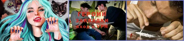 сатива Абинск