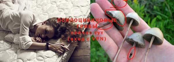 дживик Абаза