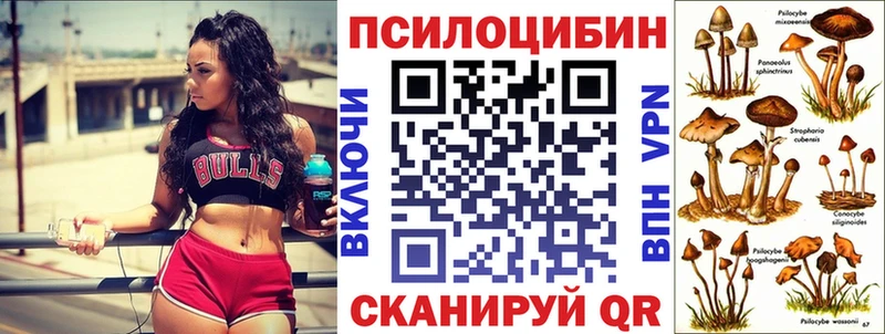 Псилоцибиновые грибы Psilocybe  MEGA сайт  Ужур 